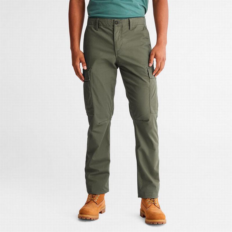 Green Timberland Squam Lake Cargo Pants | 80864405