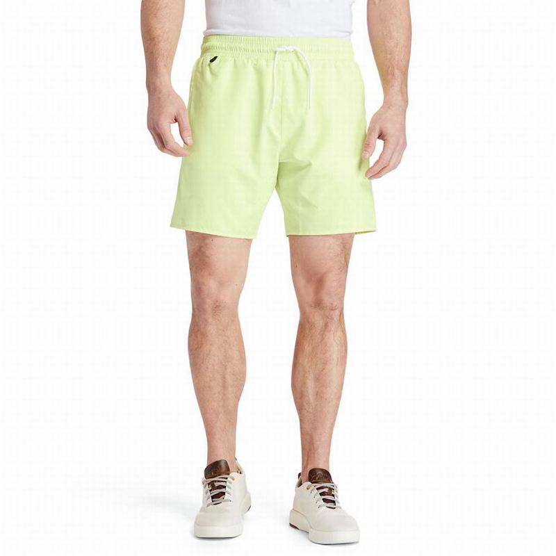 Green Timberland Sunapee Lake Solid-colour Swim Shorts | 99679643