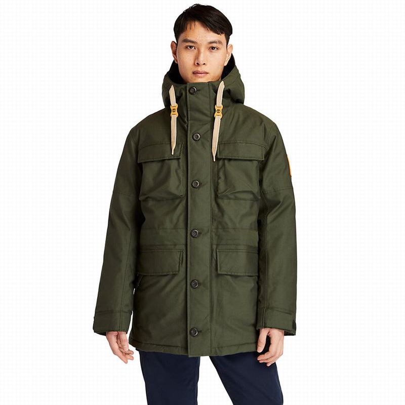 Green Timberland Wilmington DryVentField Parka | 65361493