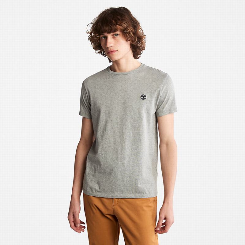 Grey Timberland All Gender Heavyweight Badge T-Shirts | 46624307