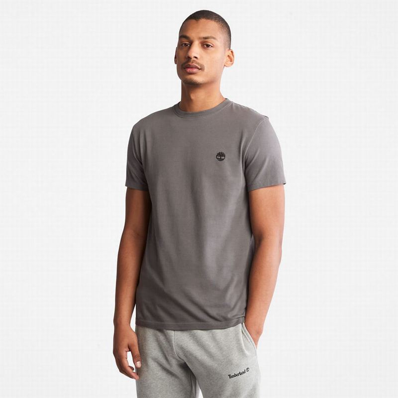 Grey Timberland Back-Graphic T-Shirts | 73944015