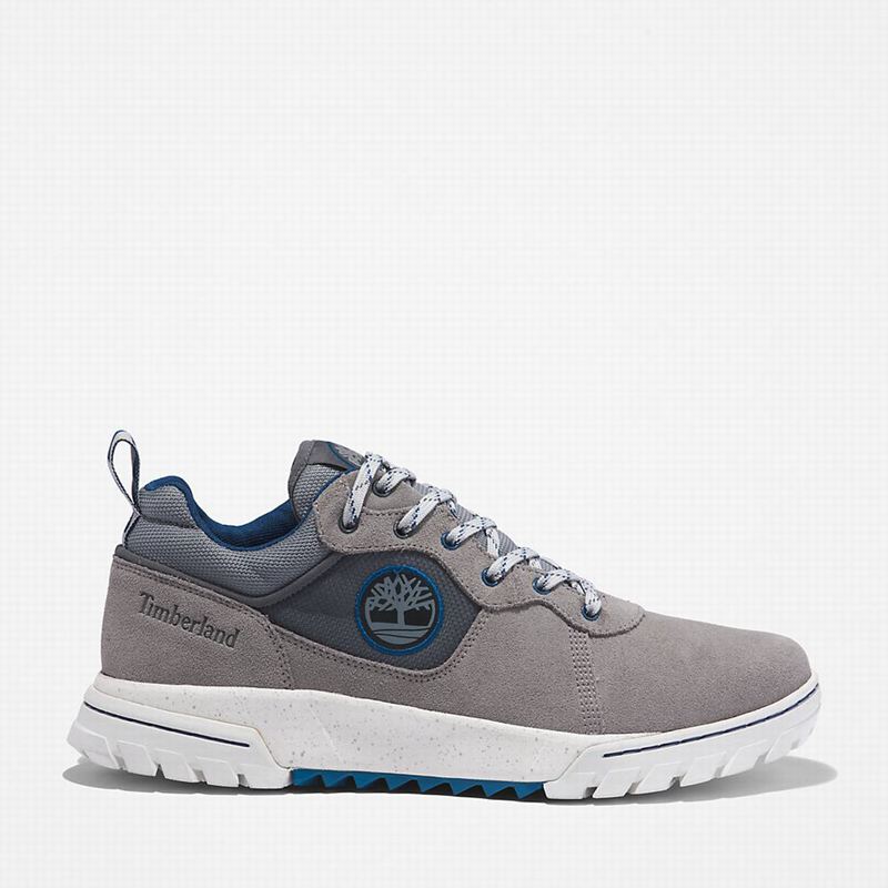 Grey Timberland Boulder Trail Sneakers | 2003293