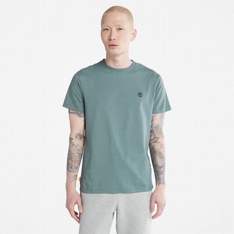 Grey Timberland Cropped Logo T-Shirts | 87080928