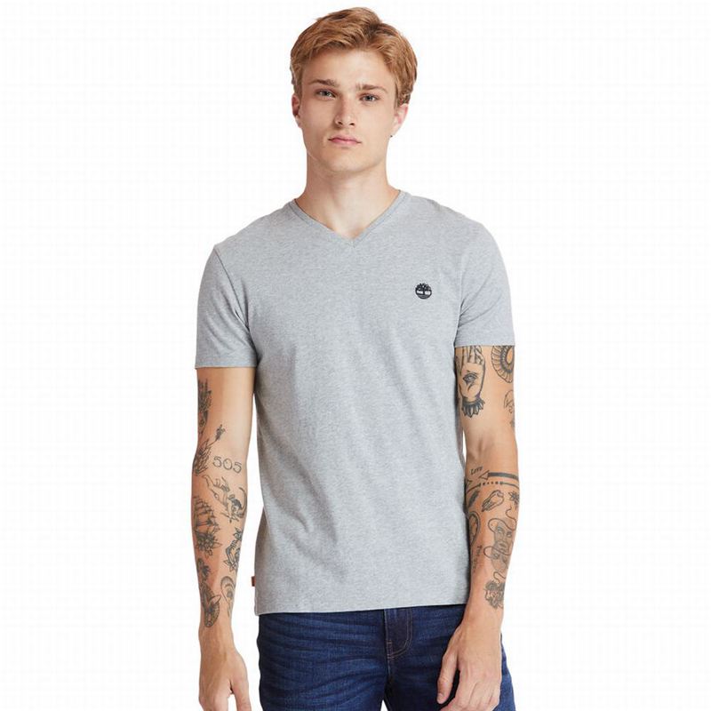 Grey Timberland Dunstan River T-Shirts | 99345241