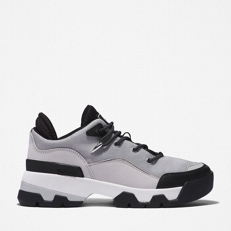 Grey Timberland Euro Swift Hiking Shoes | 26877142