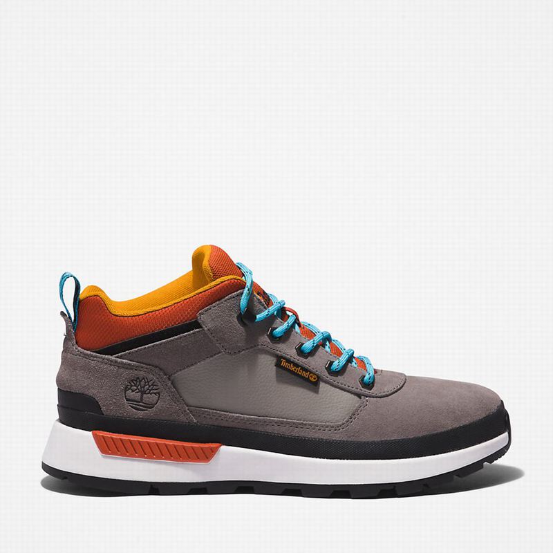 Grey Timberland Field Hiking Boots | 65082568
