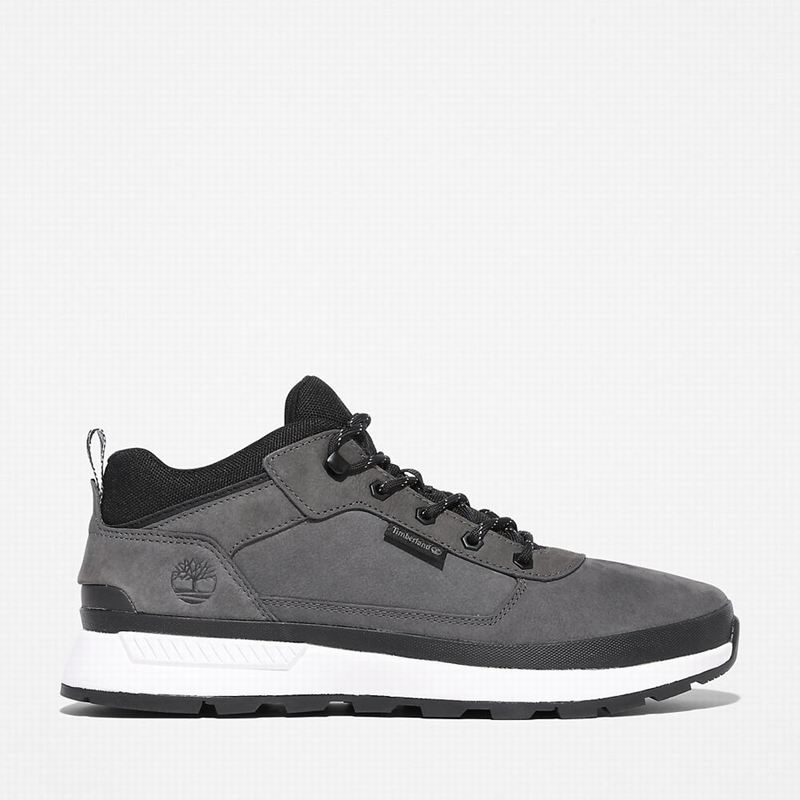 Grey Timberland Field Low Hiking Boots | 27679979