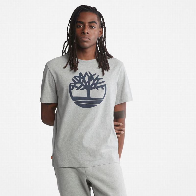 Grey Timberland Front-Graphic T-Shirts | 96081627