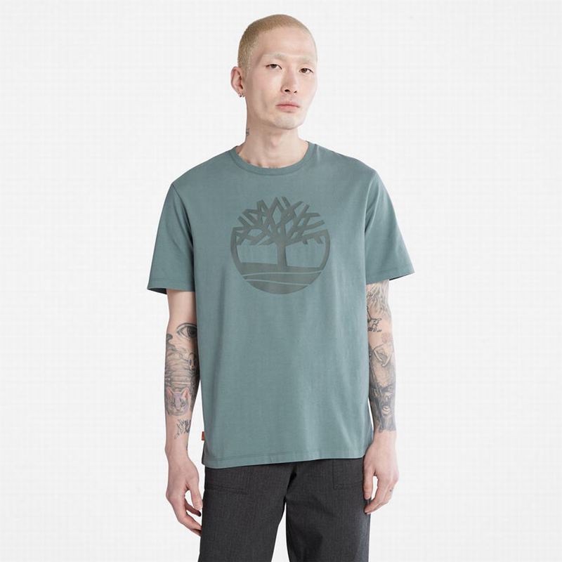 Grey Timberland Graphic-Logo T-Shirts | 89327502