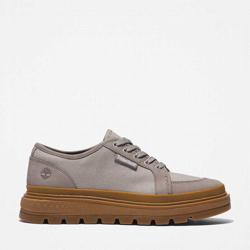 Grey Timberland GreenStride Ray City EK+ Sneakers | 22040409