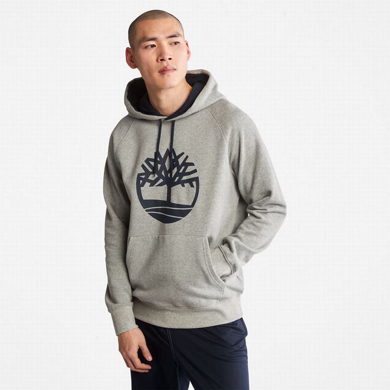 Grey Timberland Heritage Logo Hoodie | 40124518