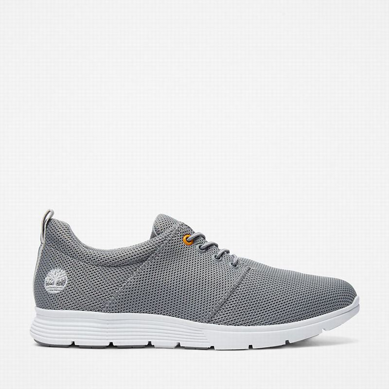 Grey Timberland Killington Oxford Sneakers | 52934013