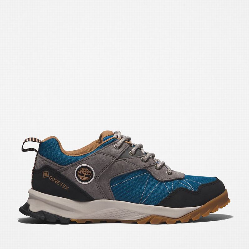 Grey Timberland Lincoln Peak Gore-Tex Low Hiking Shoes | 95406147