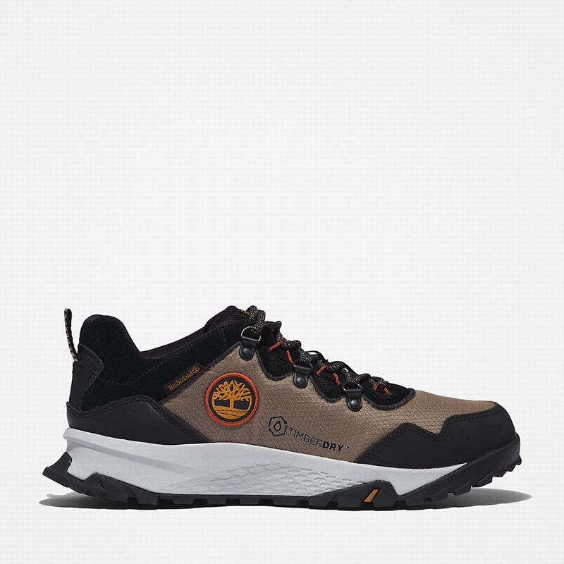 Grey Timberland Lincoln Peak Sneakers | 96485911