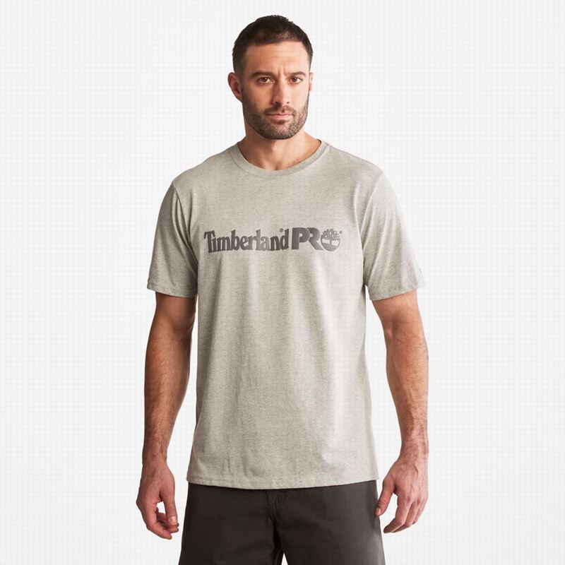 Grey Timberland PRO Base Plate HW "Northern Lights" Graphic T-Shirts | 98760936