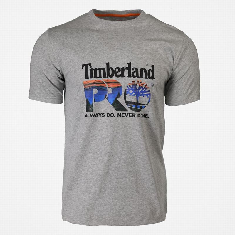 Grey Timberland PRO Base Plate Short-Sleeve Logo T-Shirts | 43662471