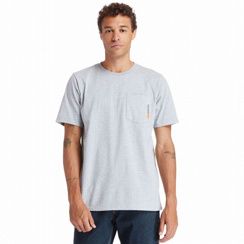Grey Timberland Photo T-Shirts | 39170976