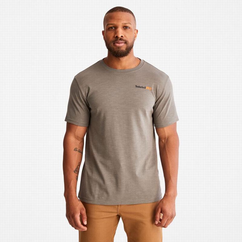 Grey Timberland Photographic T-Shirts | 32254845