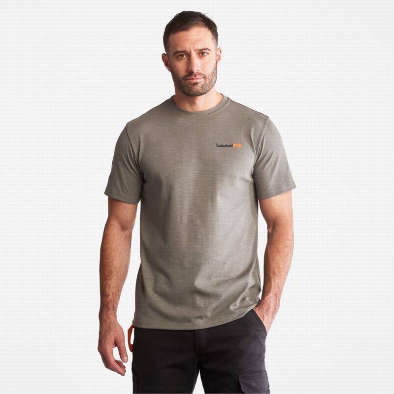 Grey Timberland Photographic T-Shirts | 72761650