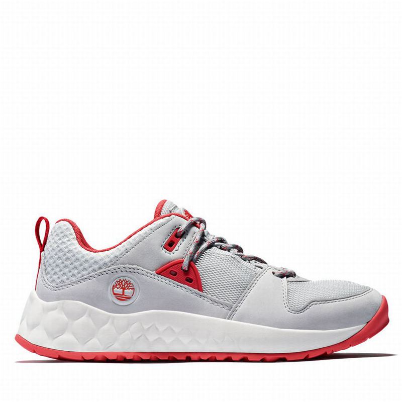 Grey Timberland Solar Wave Hiking Shoes | 82515335