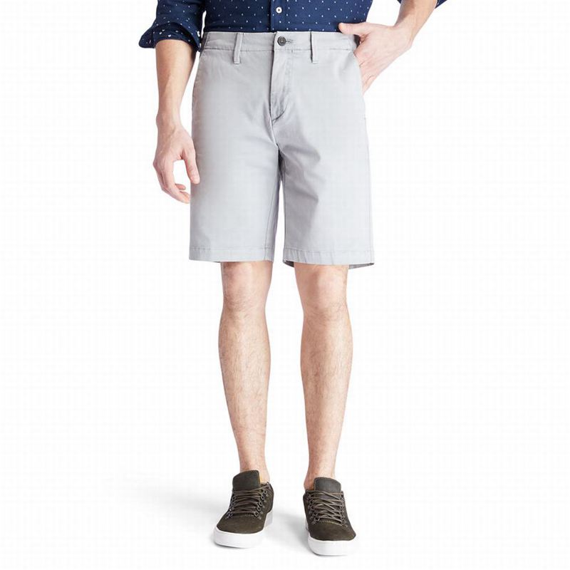 Grey Timberland Squam Lake Chino Shorts | 98494516