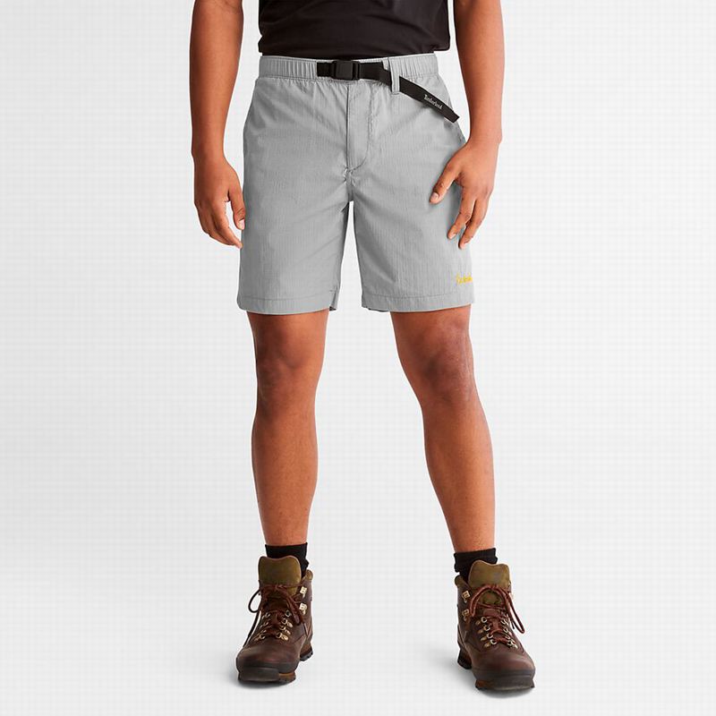 Grey Timberland Water-Repellent Shorts | 40416026