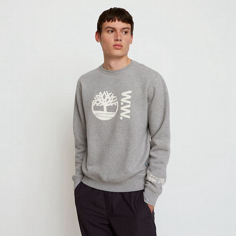 Grey Timberland x WoodWood Crew Sweatshirts | 45263463