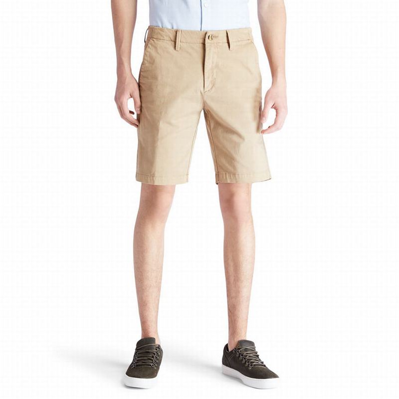 Khaki Timberland Squam Lake Chino Shorts | 86404941