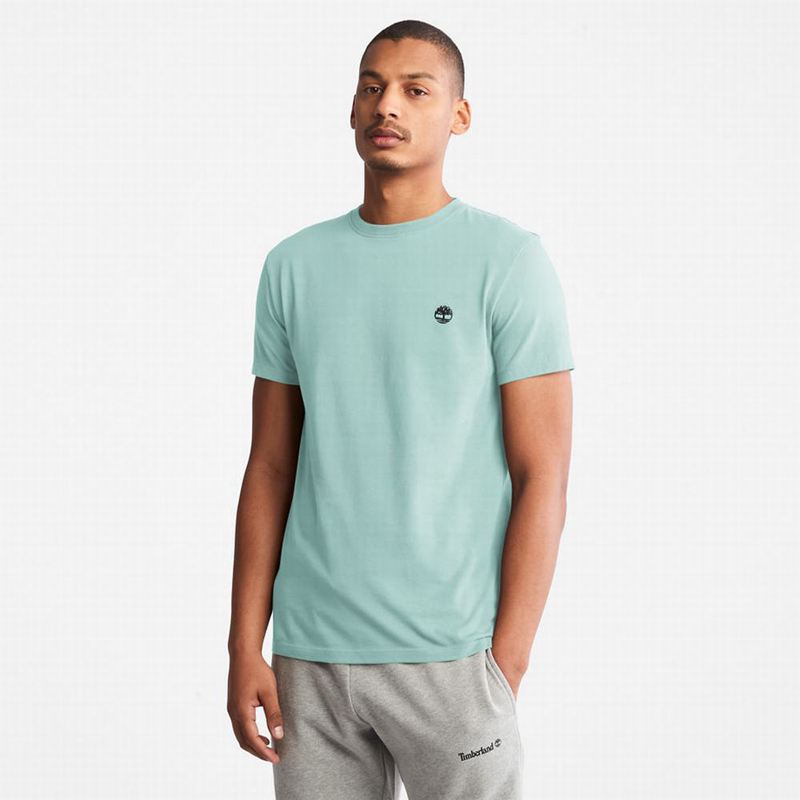Light Blue Timberland Back Graphic Logo T-Shirts | 41454965