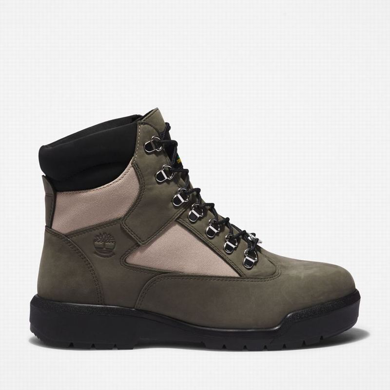 Olive Timberland 6-Inch Waterproof Field Waterproof Boots | 64364032
