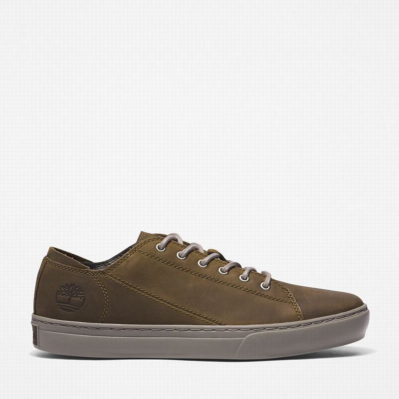 Olive Timberland Adventure 2.0 Oxford Sneakers | 48388131