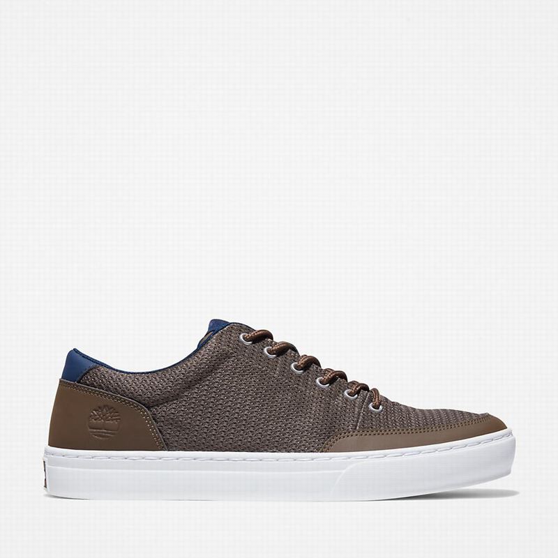 Olive Timberland Adventure 2.0 Sneakers | 935061