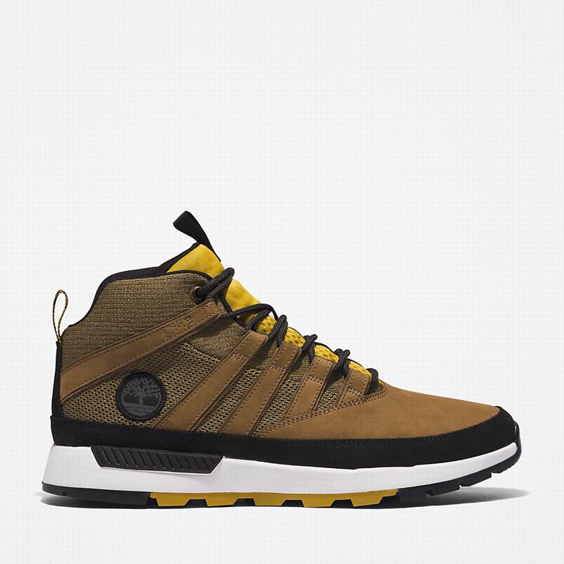 Olive Timberland Euro Hiking Boots | 51578311