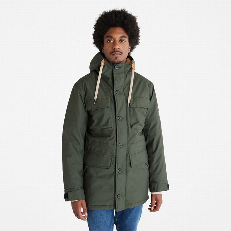 Olive Timberland Expedition Field Parka | 46266803