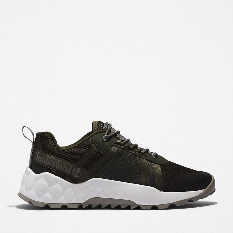 Olive Timberland GreenStride Solar Wave LT Sneakers | 15844373