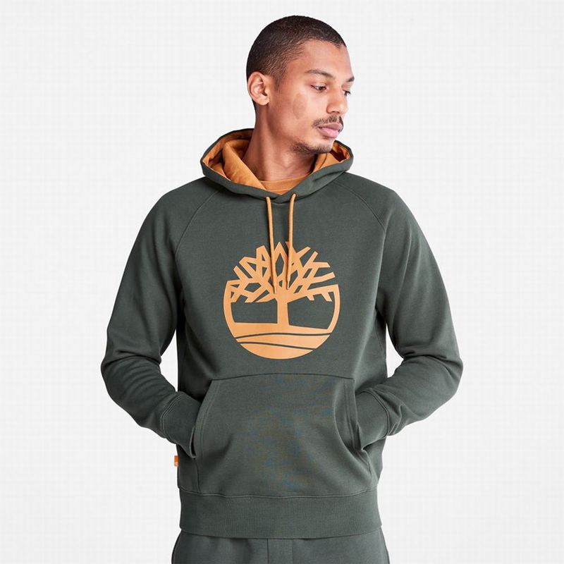 Olive Timberland Heritage Logo Hoodie | 74763165