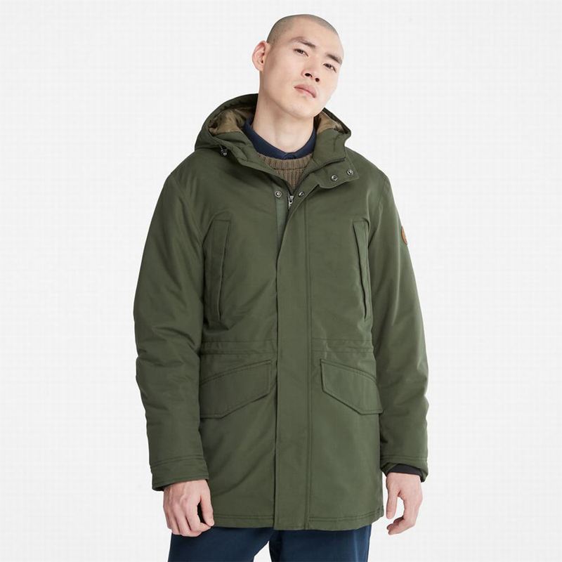 Olive Timberland Insulated City Parka | 71325991
