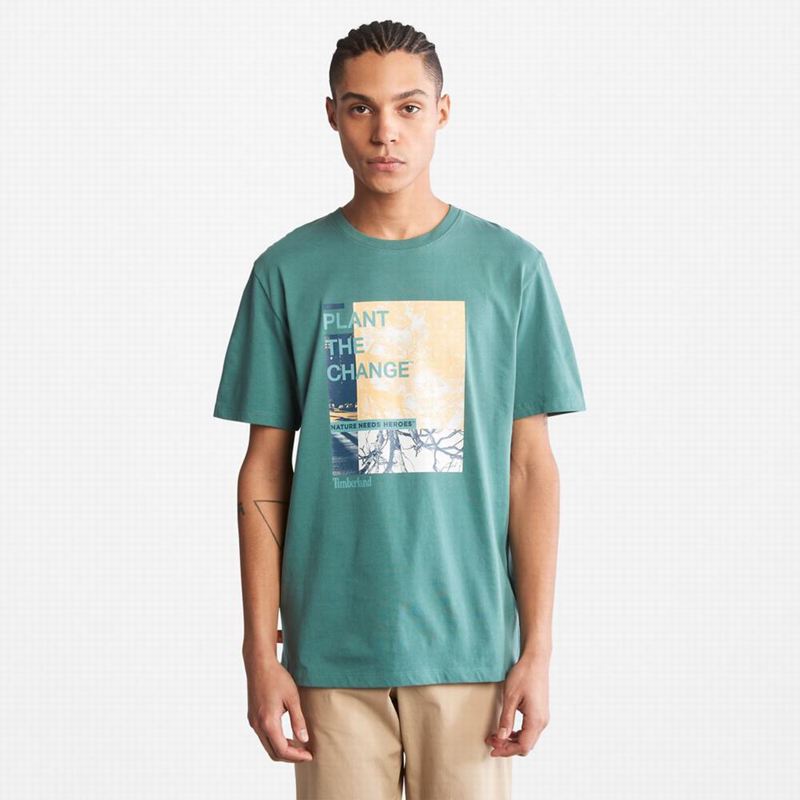 Olive Timberland Luxe Comfort Essentials Tencelx Refibra T-Shirts | 91330361