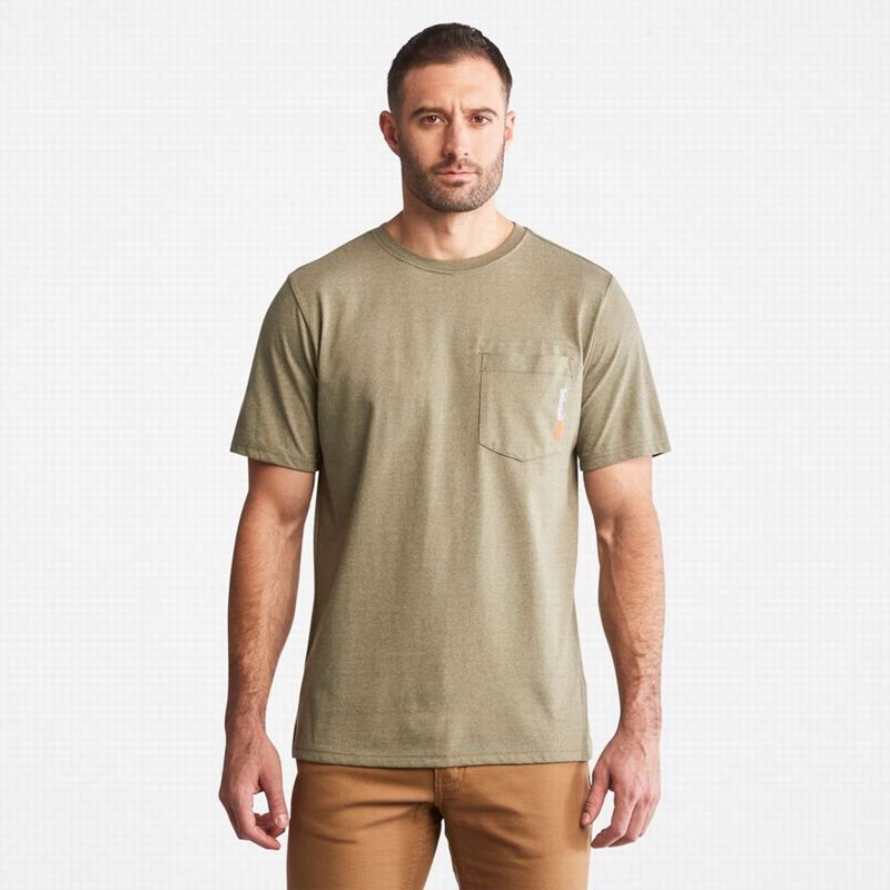 Olive Timberland Pastel T-Shirts | 38914029