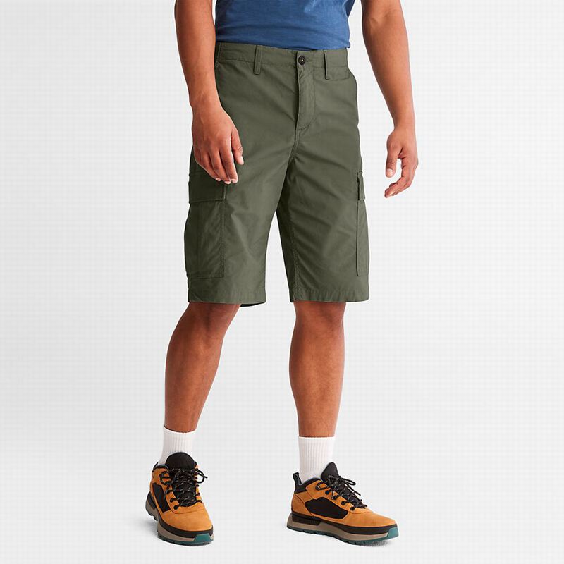 Olive Timberland Poplin Cargo Shorts | 55124522