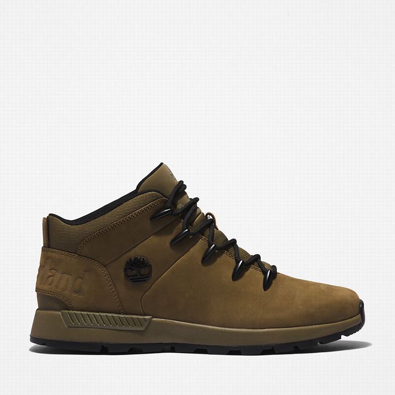 Olive Timberland Sprint Mid Hiking Boots | 82441498