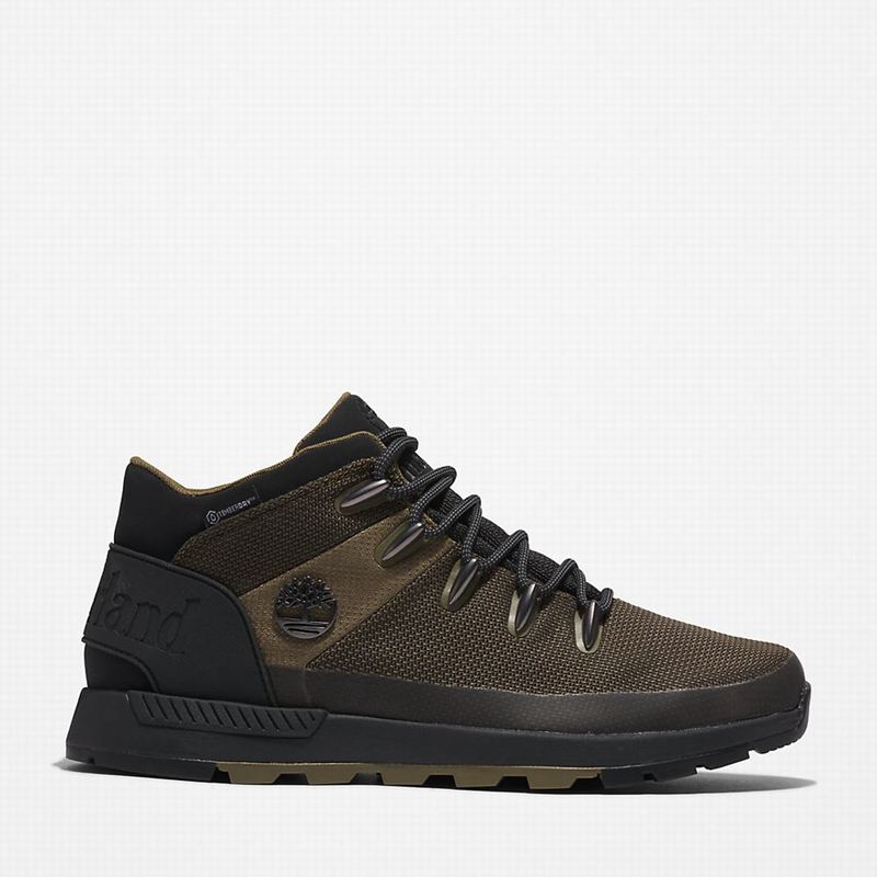 Olive Timberland Sprint Trekker Chukka Boots | 24093752