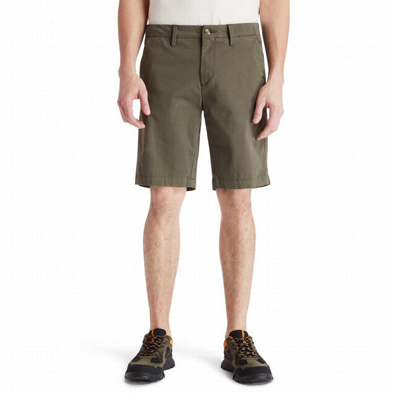 Olive Timberland Squam Lake Chino Shorts | 25791562