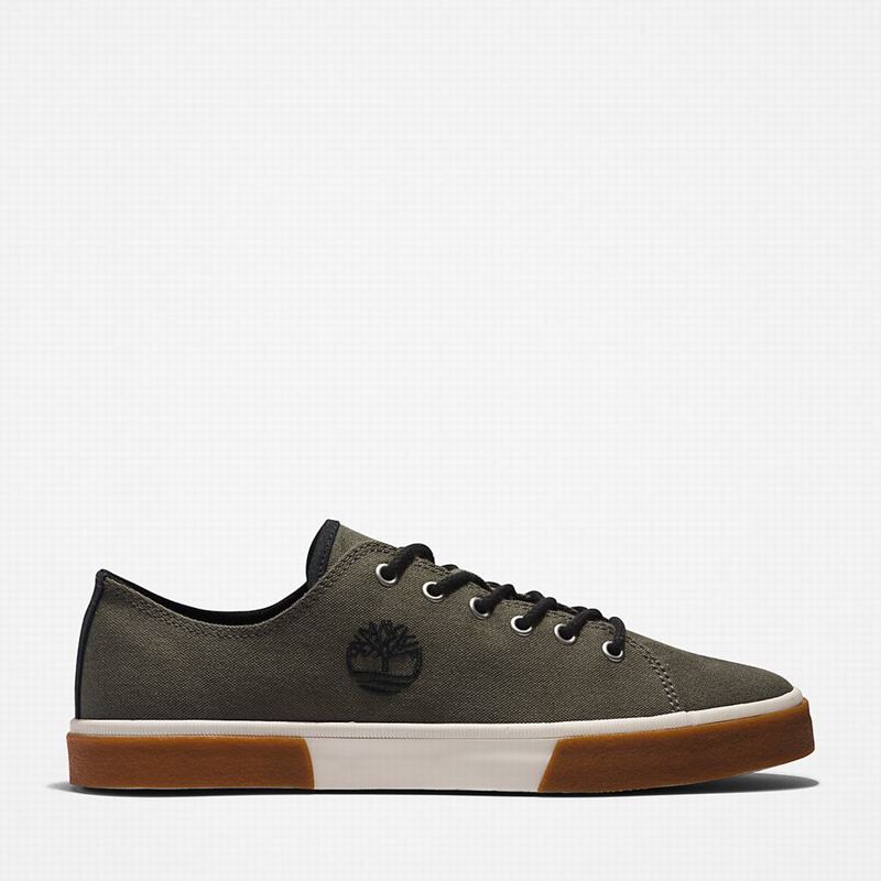Olive Timberland Union Wharf 2.0 EK+ Sneakers | 51181405
