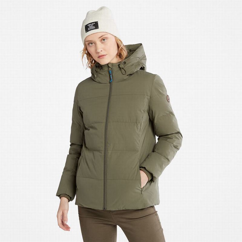 Olive Timberland Wilmington EK+ Winter Jackets | 13159792