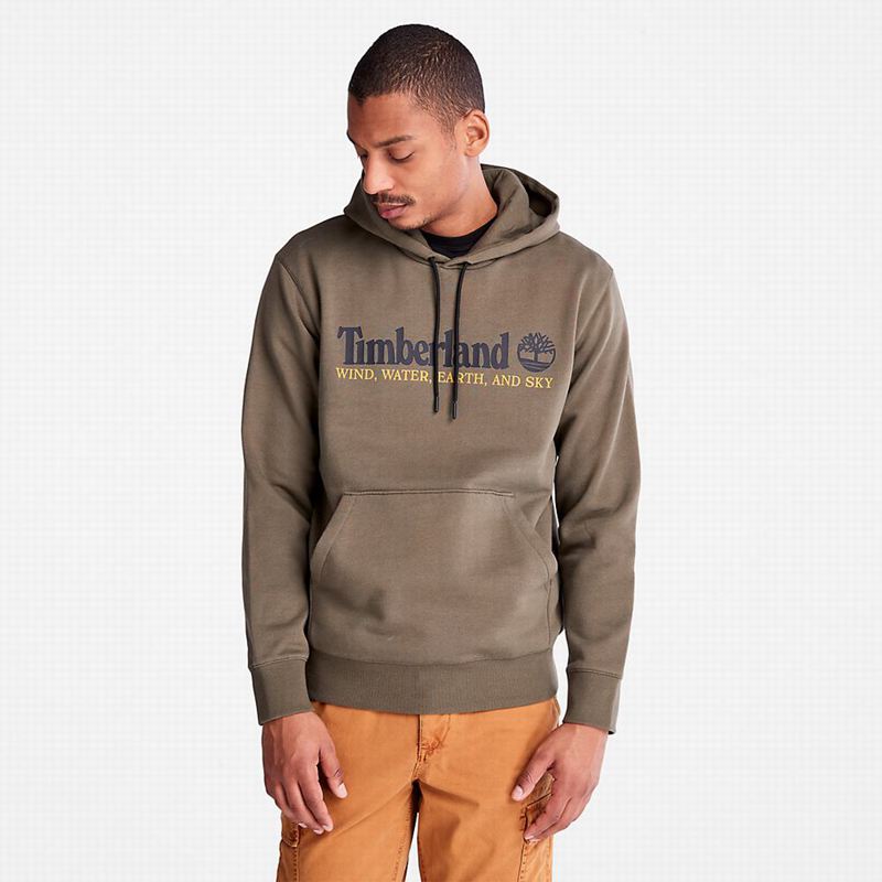 Olive Timberland Wind Water Earth and Sky Hoodie | 91221970
