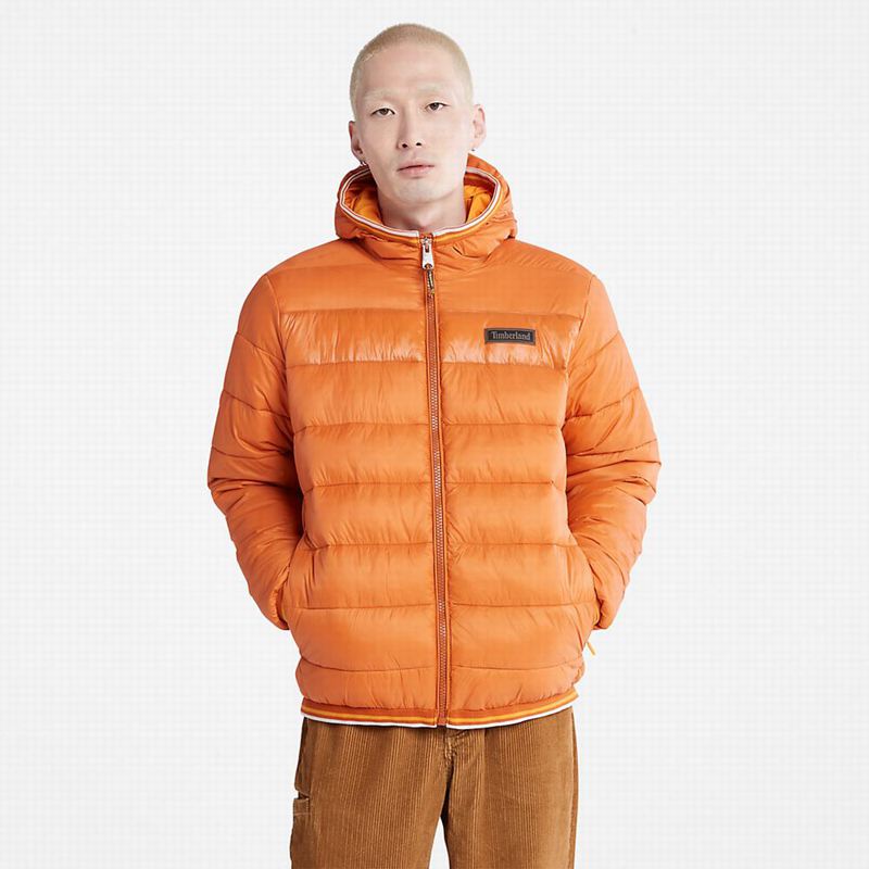 Orange Timberland Axis Peak Water-Repellent Jackets | 6443341