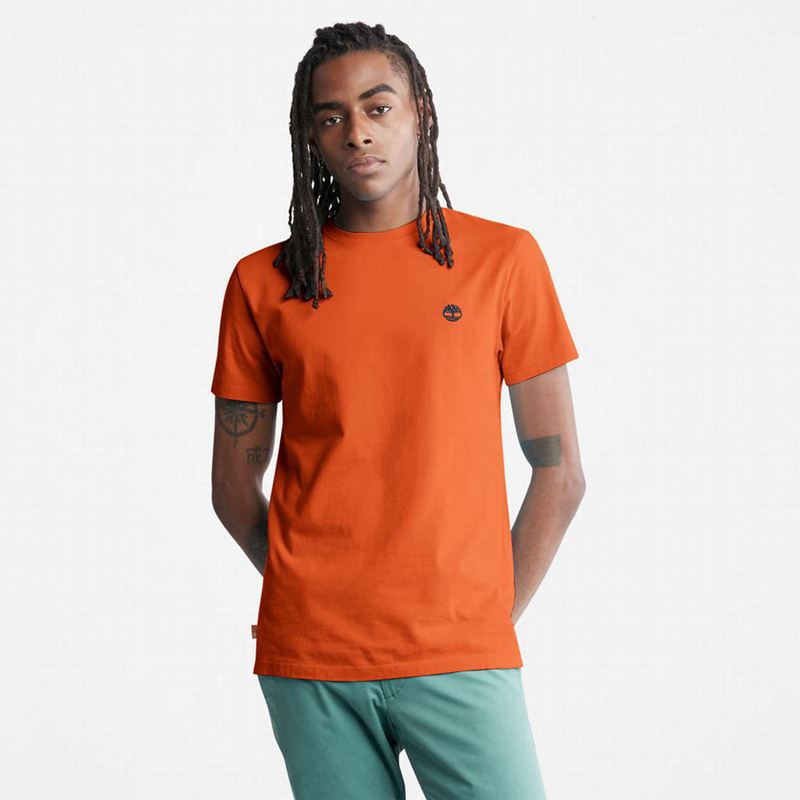 Orange Timberland Back-Graphic T-Shirts | 83666116