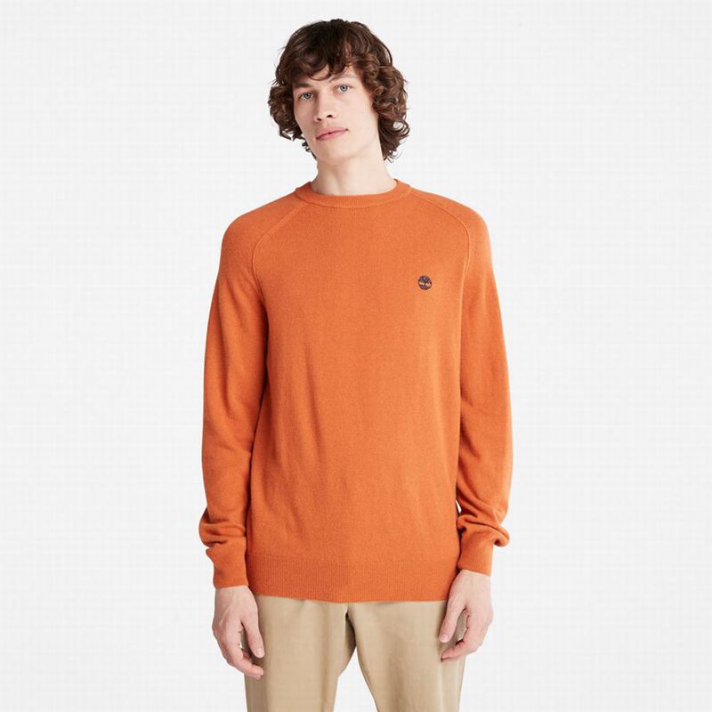 Orange Timberland Crewneck Raglan Jumpers | 28847908