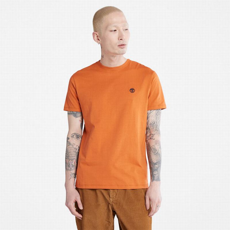 Orange Timberland Cropped Logo T-Shirts | 93332054